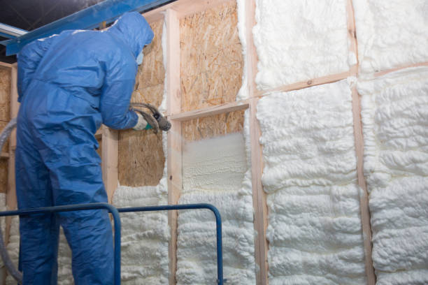 Eco-Friendly Insulation Solutions in Bloomfield, NM